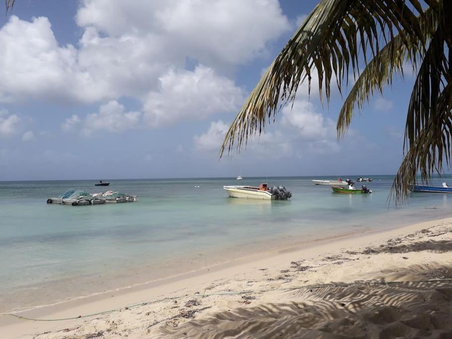 Au Bout Du Reve - Le Gosier Villa Le Gosier  Ngoại thất bức ảnh